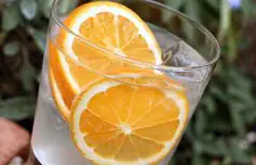 Portuguese Orange Port and Tonic Cocktail Recipe