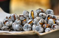 Deliciously Popular Oven Roasted Chestnuts Recipe