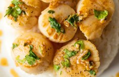 Portuguese Scallops with Port and Garlic Recipe