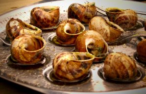 Portuguese Style Snails with a Rich Broth Recipe